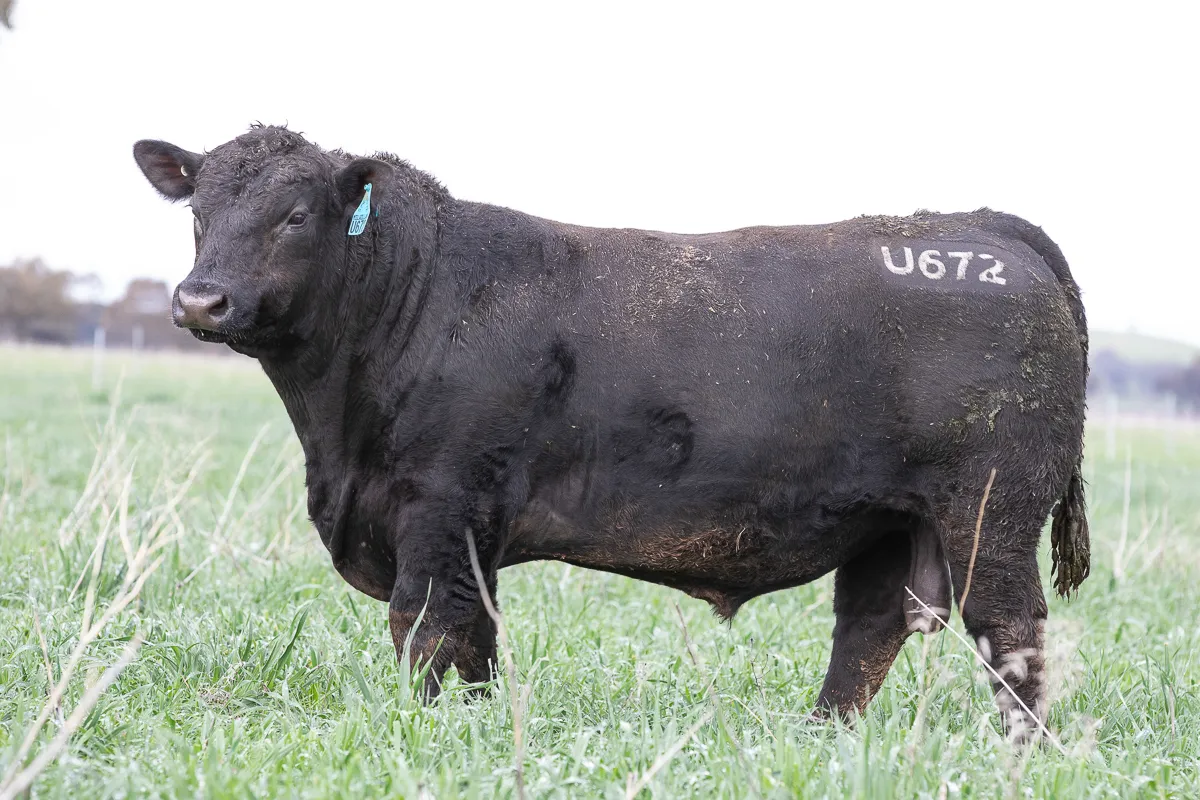 LOT 51 U672 RAMJET
