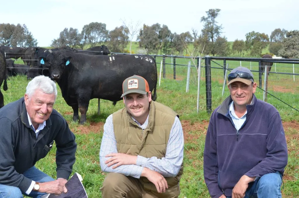 milwillah angus reach second highest angus sale average this season